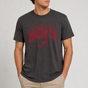 4th & 1 Alabama Crimson Tide T-Shirt Men's Large Brown Gray Distressed NCAA